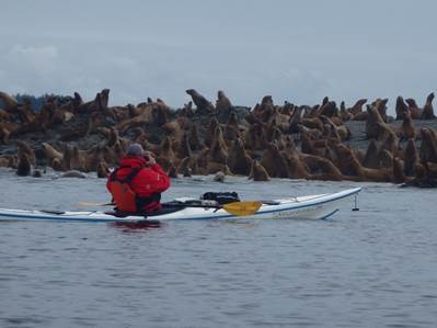 /Newsletter/Articles/Recent%20Letters/2018%20Alaska%20-%20Prince%20William%20Sound%20Expedition_files/image059.jpg