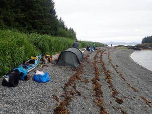 /Newsletter/Articles/Recent%20Letters/2018%20Alaska%20-%20Prince%20William%20Sound%20Expedition_files/image067.jpg