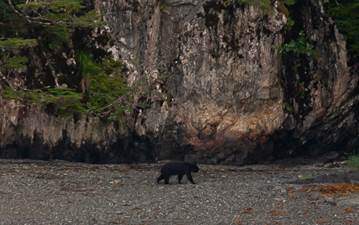/Newsletter/Articles/Recent%20Letters/2018%20Alaska%20-%20Prince%20William%20Sound%20Expedition_files/image127.jpg