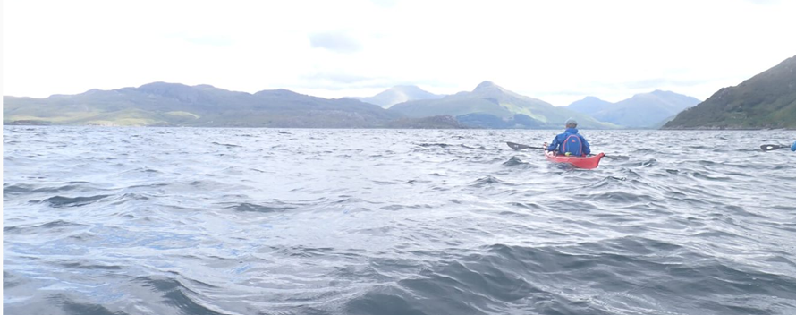 A person on a kayak in the water

Description automatically generated