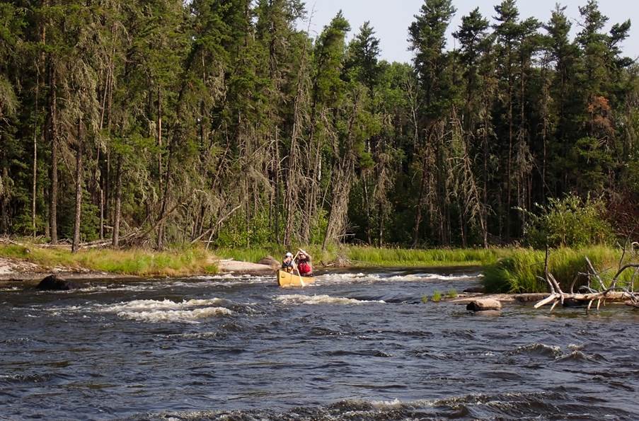 A group of people in a canoe in a river

Description automatically generated