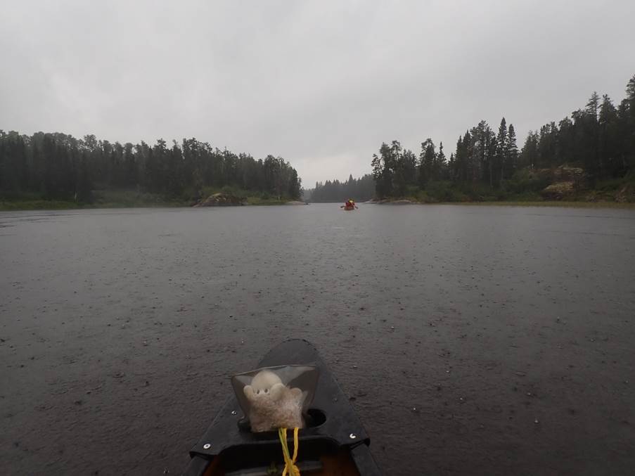 A cat on a boat in a lake

Description automatically generated