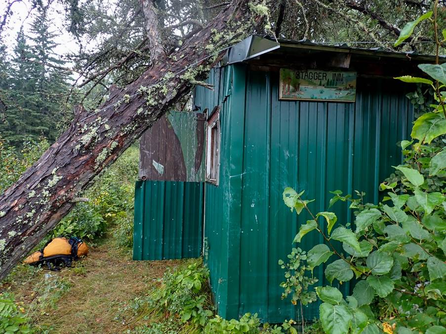 A tree falling over a shed

Description automatically generated