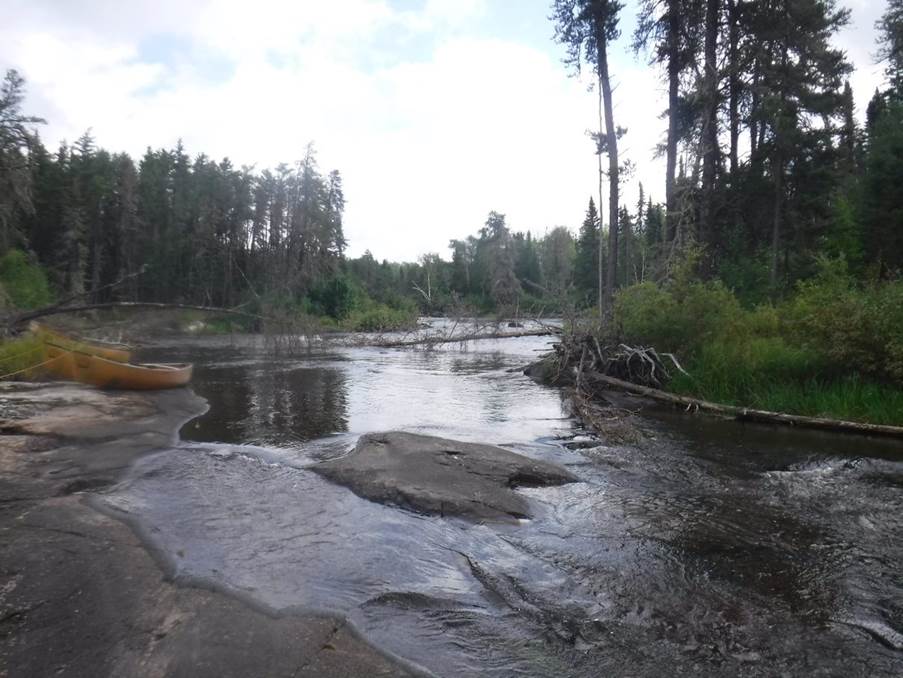 A river with a canoe in it

Description automatically generated