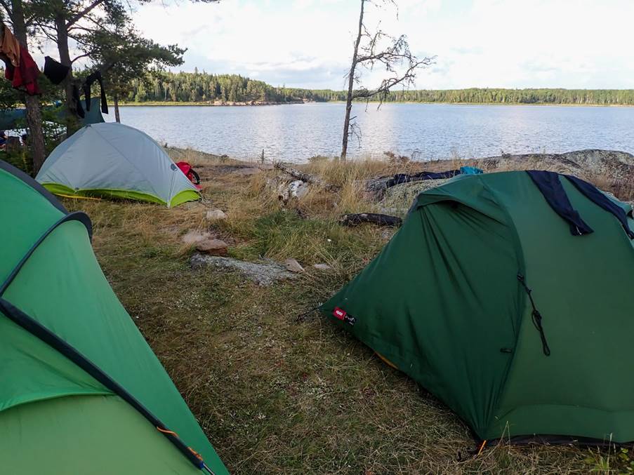 Tents on the grass by the water

Description automatically generated