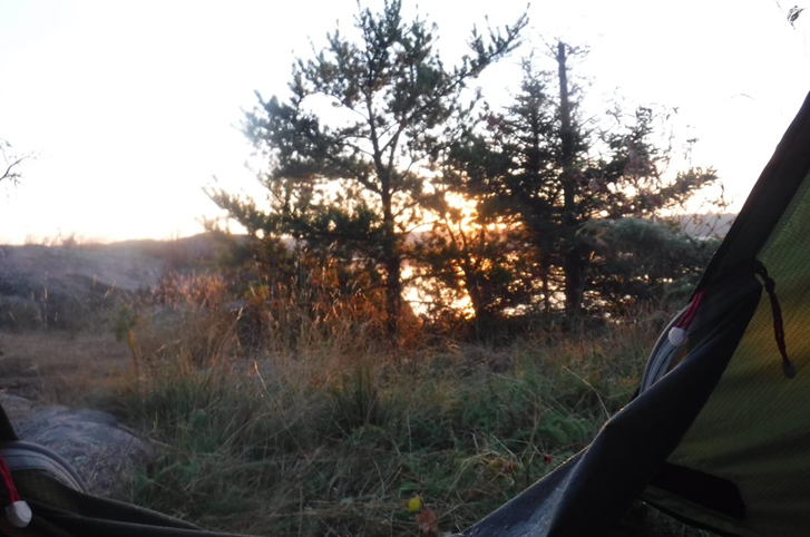 A view of a forest from a tent

Description automatically generated