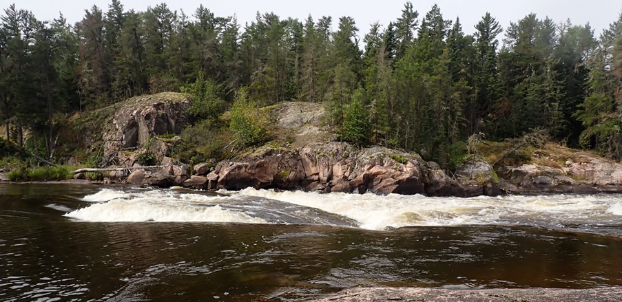 A river with trees in the background

Description automatically generated