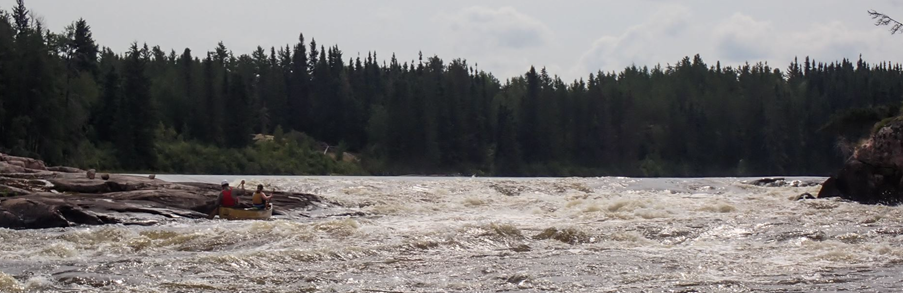 A river with trees in the background

Description automatically generated