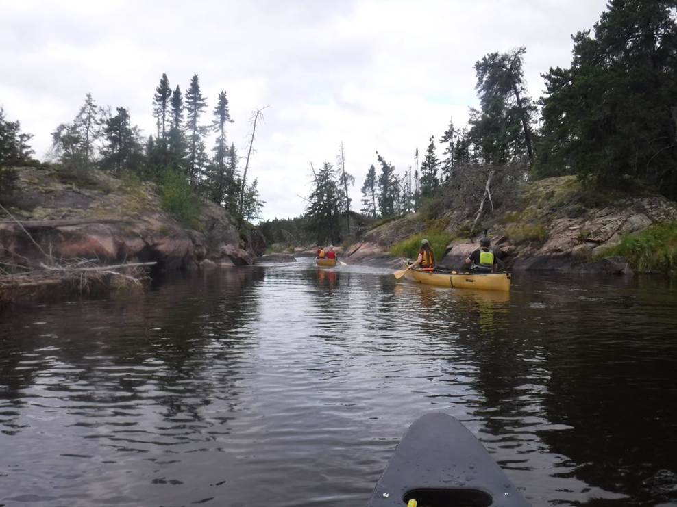 A group of people in kayaks on a river

Description automatically generated