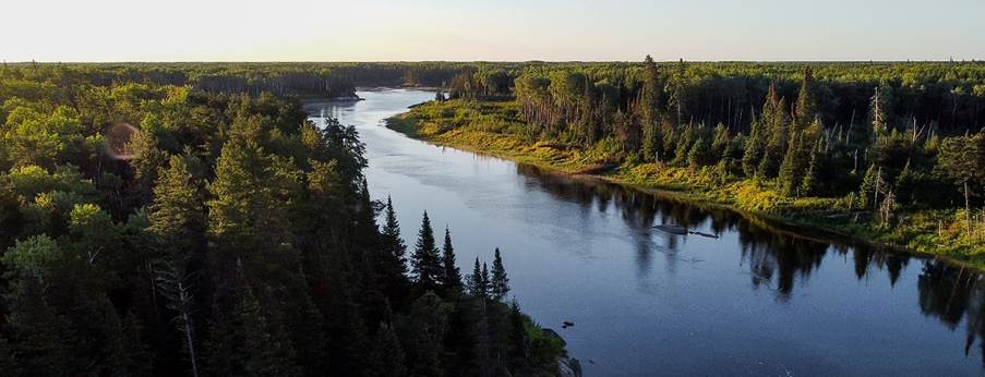 A river with trees around it

Description automatically generated