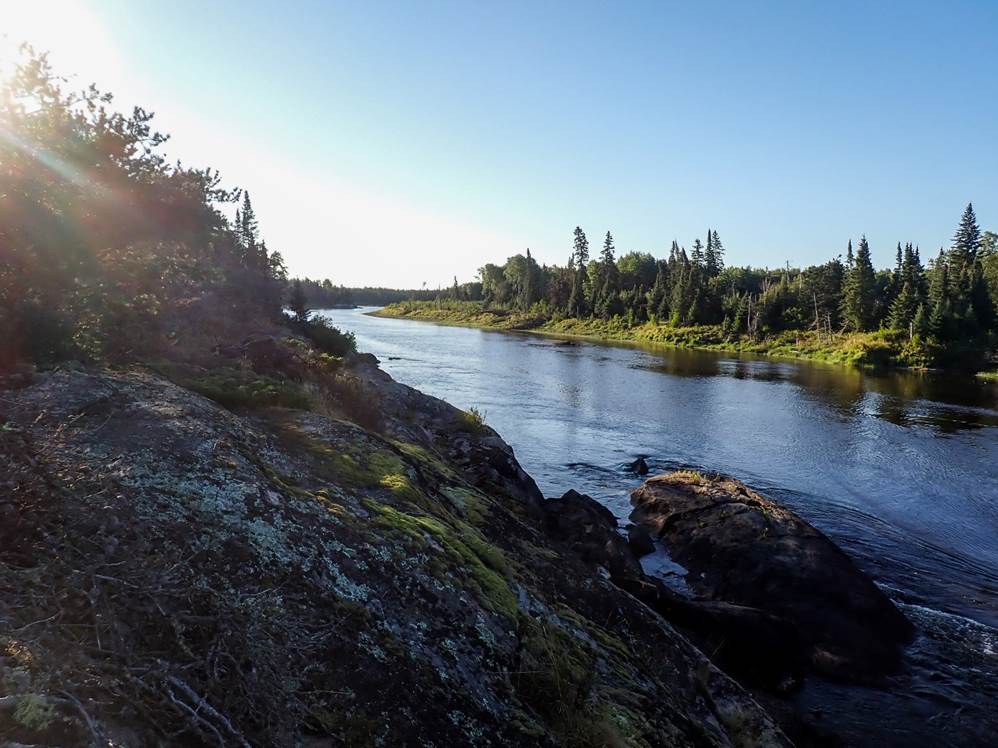 A river with trees and rocks

Description automatically generated