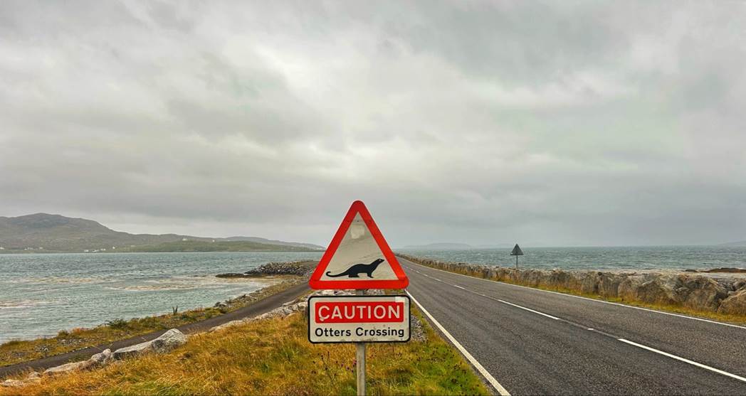 A road sign on the side of a road

Description automatically generated