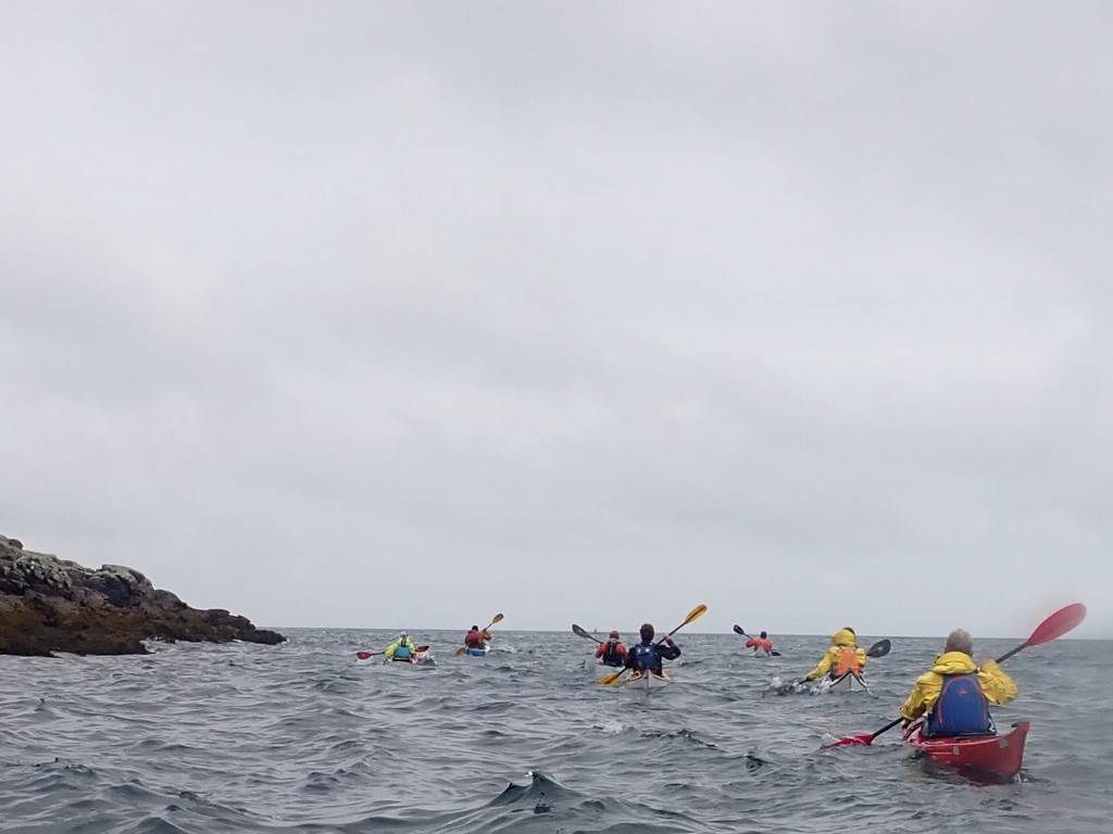 A group of people in kayaks in the water

Description automatically generated