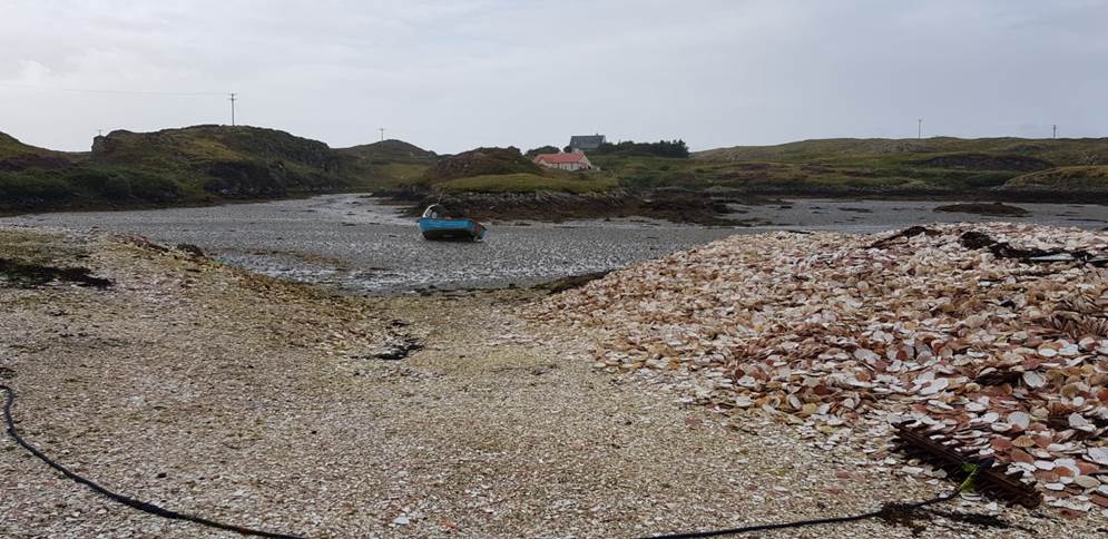 A rocky beach with a boat in it

Description automatically generated