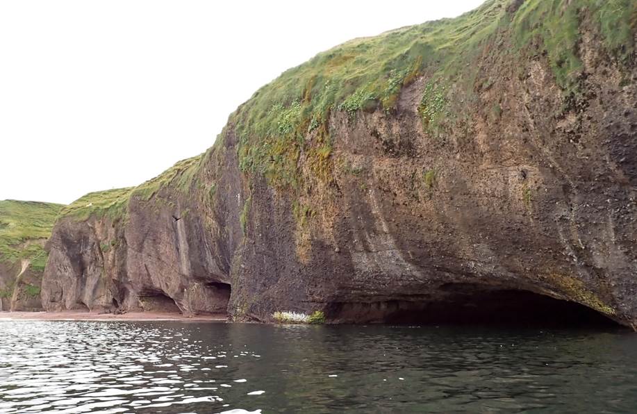 A large rock cliff with grass growing on it

Description automatically generated with medium confidence