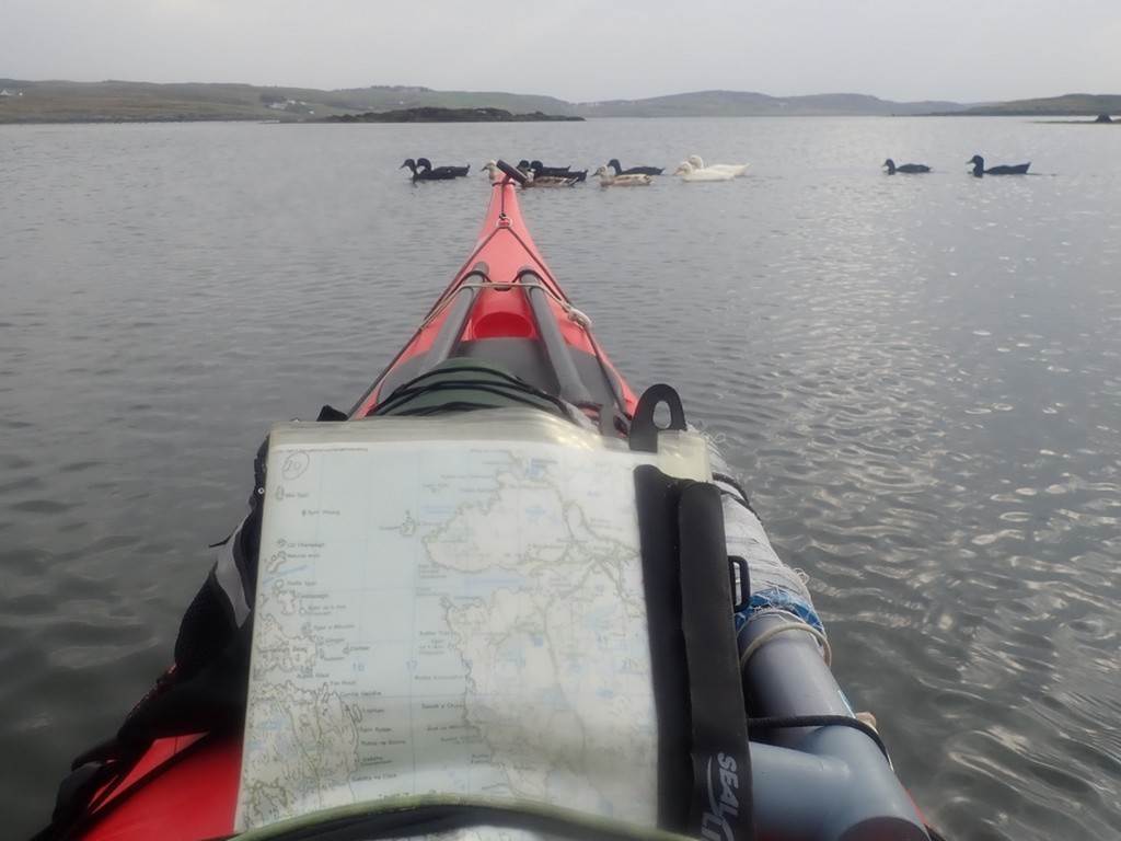 A kayak with a map on it

Description automatically generated