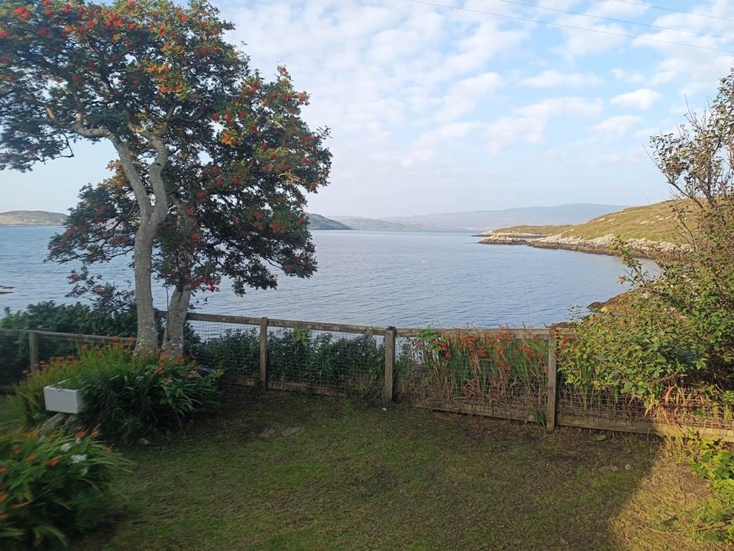 A fenced in area with a body of water and trees

Description automatically generated