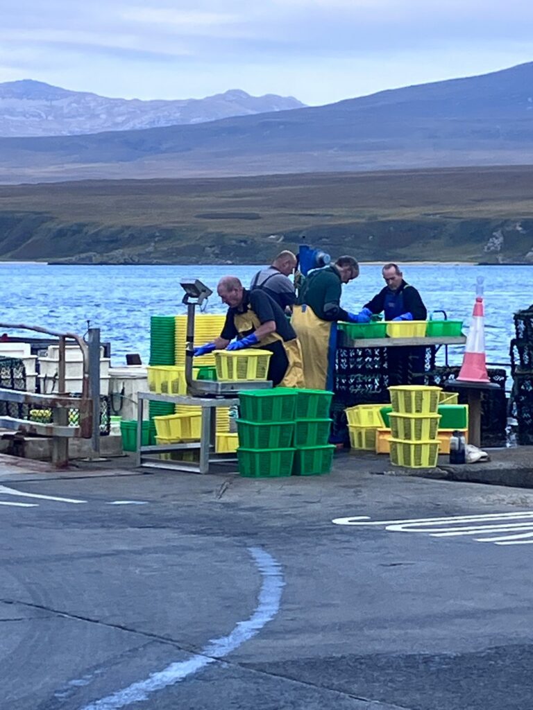 2025 08 24 Islay by KS 007