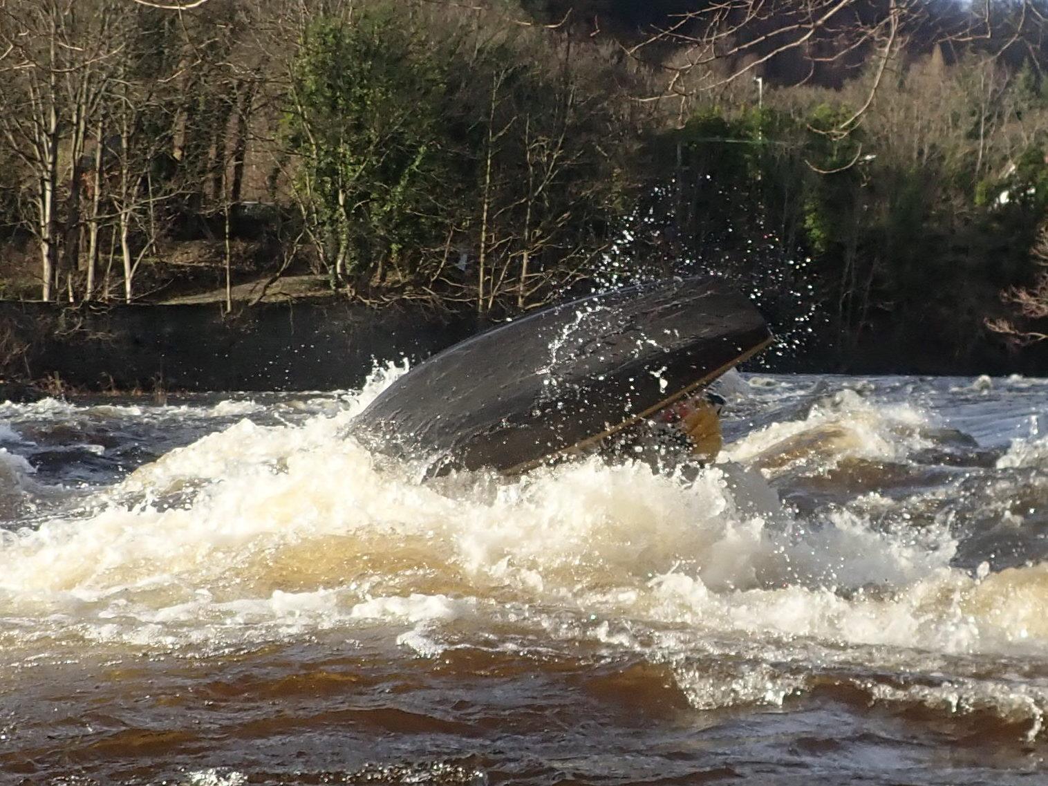 A picture containing outdoor, water, tree, natureDescription automatically generated