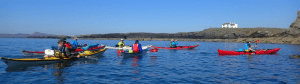 A group of people in kayaks on a lake Description automatically generated with low confidence