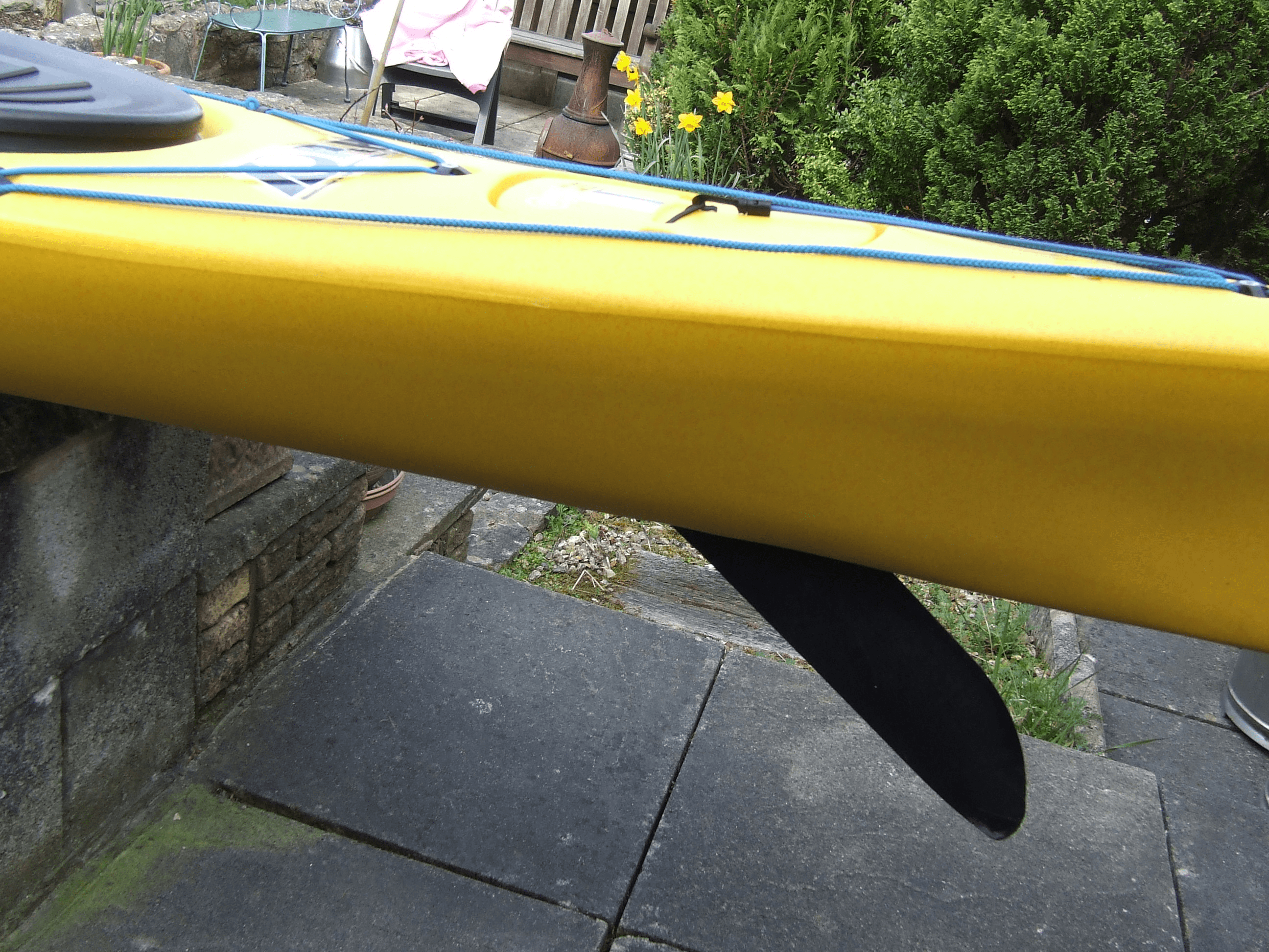 A picture containing outdoor, tree, ground, yellowDescription automatically generated