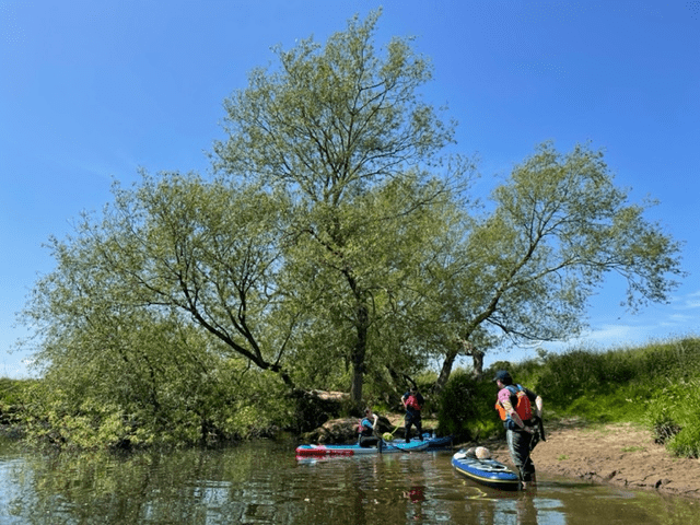 A picture containing tree, outdoor, sky, waterDescription automatically generated