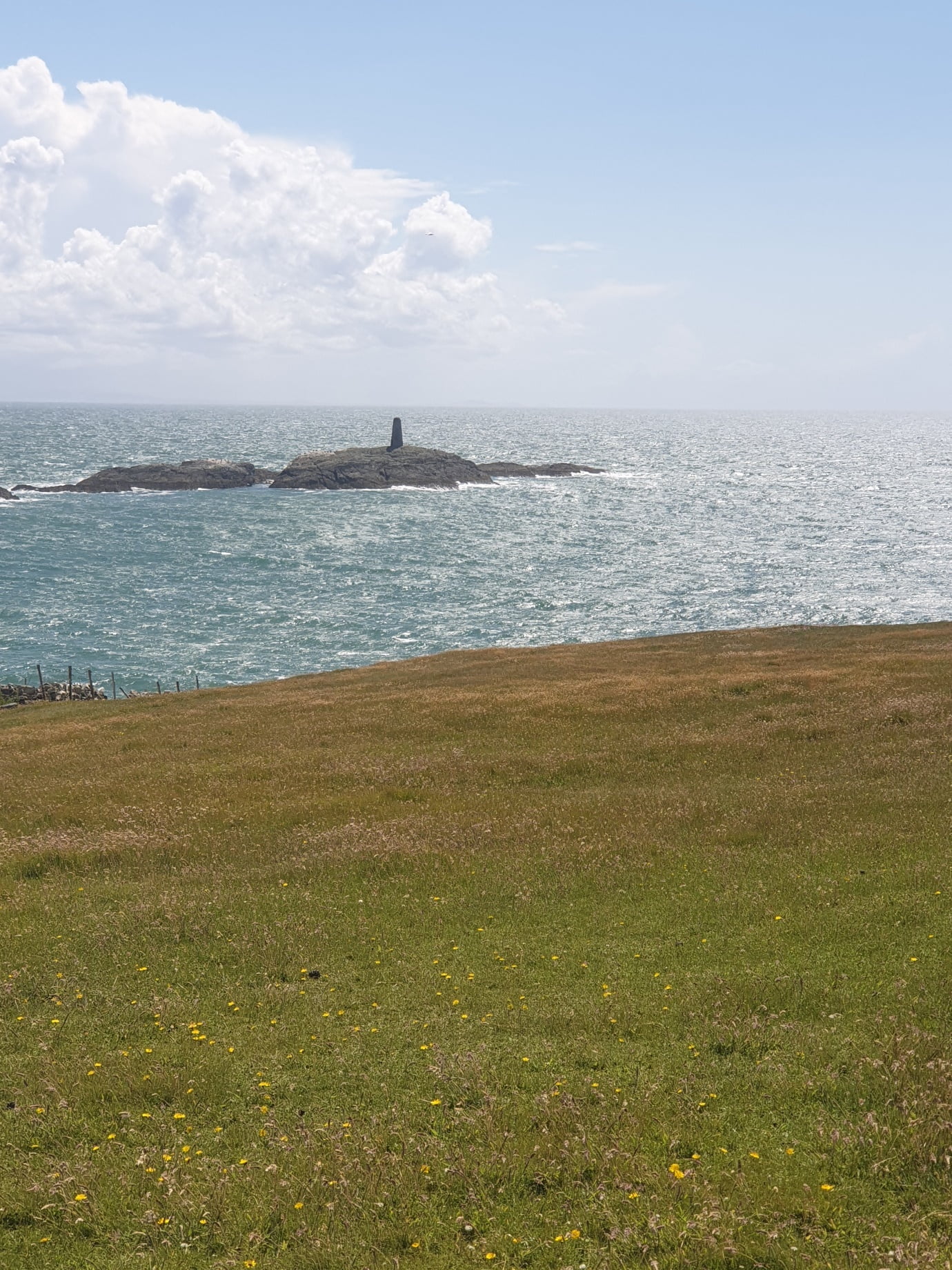 A grassy area next to a body of waterDescription automatically generated with medium confidence