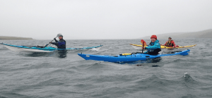 A group of people in kayaks Description automatically generated with medium confidence