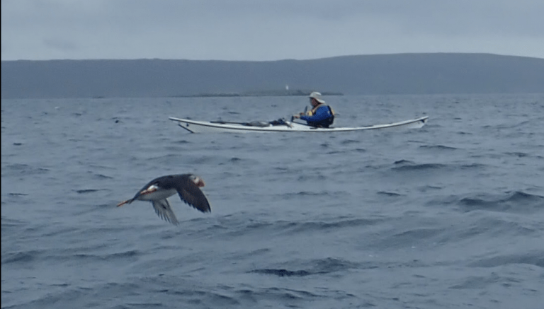 A picture containing water, outdoor, sky, surfing Description automatically generated