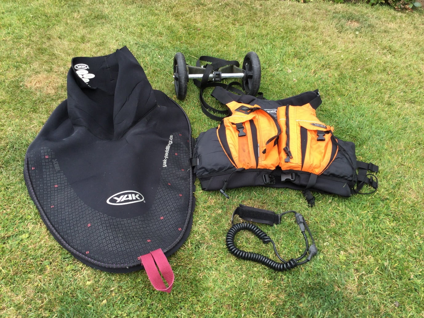 A picture containing grass, outdoorDescription automatically generated