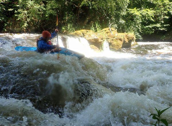 A picture containing tree, water, outdoor, riverDescription automatically generated