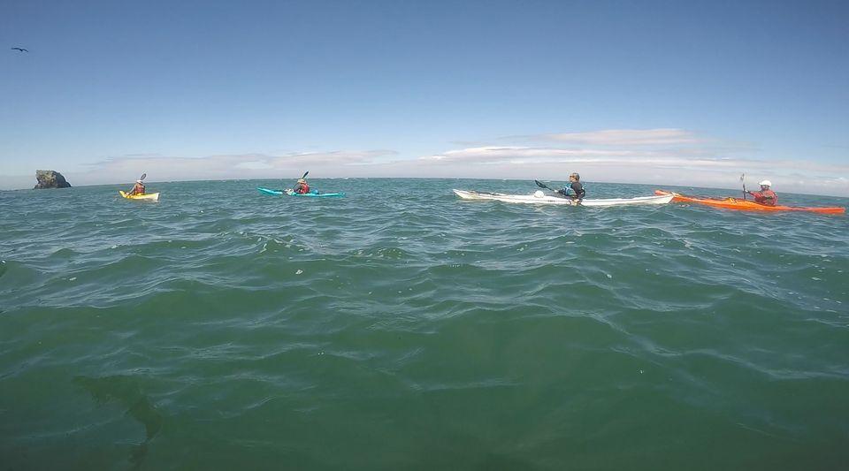 A group of people in a body of waterDescription automatically generated with low confidence