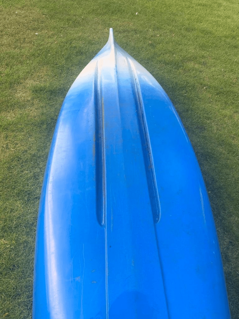 A picture containing grass, outdoor, blue, openedDescription automatically generated