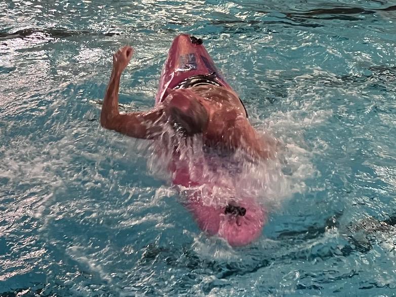 A dog swimming in water

Description automatically generated with low confidence