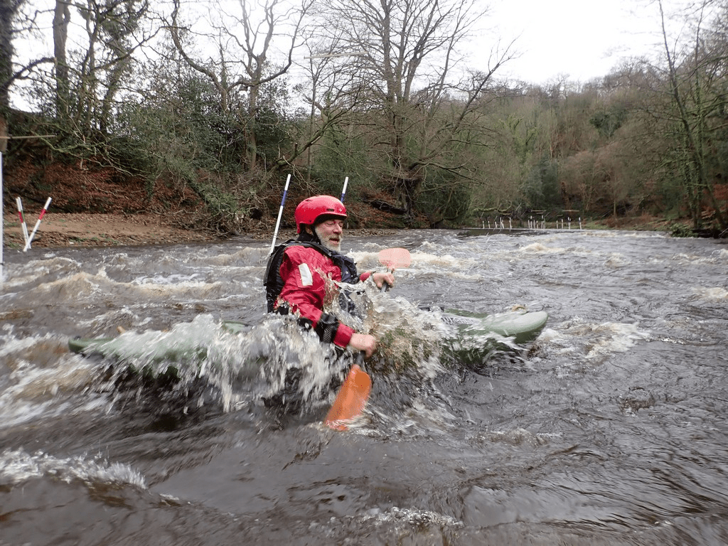 A picture containing outdoor, treeDescription automatically generated