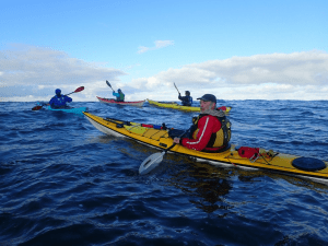A group of people in kayaks Description automatically generated with low confidence