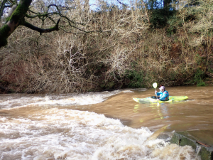 A picture containing tree, outdoor, water, river Description automatically generated