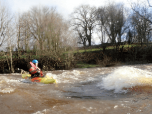 A picture containing tree, outdoor, water, river Description automatically generated