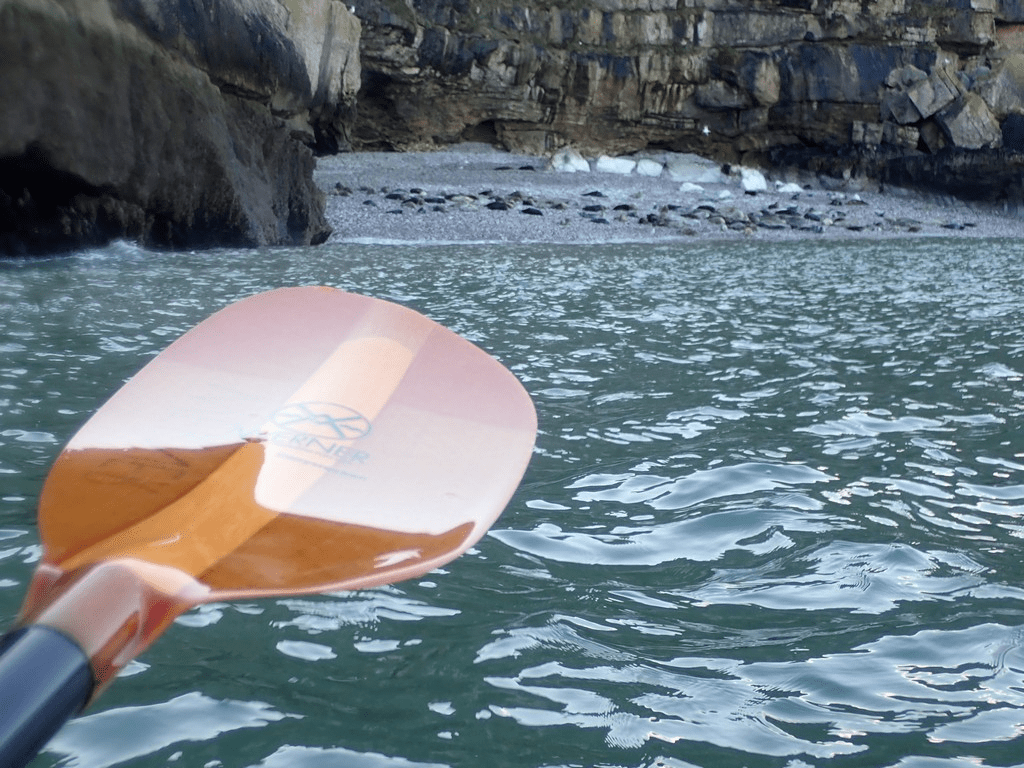 A picture containing water, outdoorDescription automatically generated