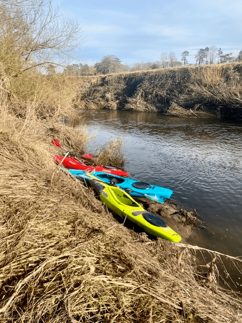 A picture containing outdoor, grassDescription automatically generated