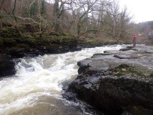 A picture containing outdoor, tree, nature, rock Description automatically generated