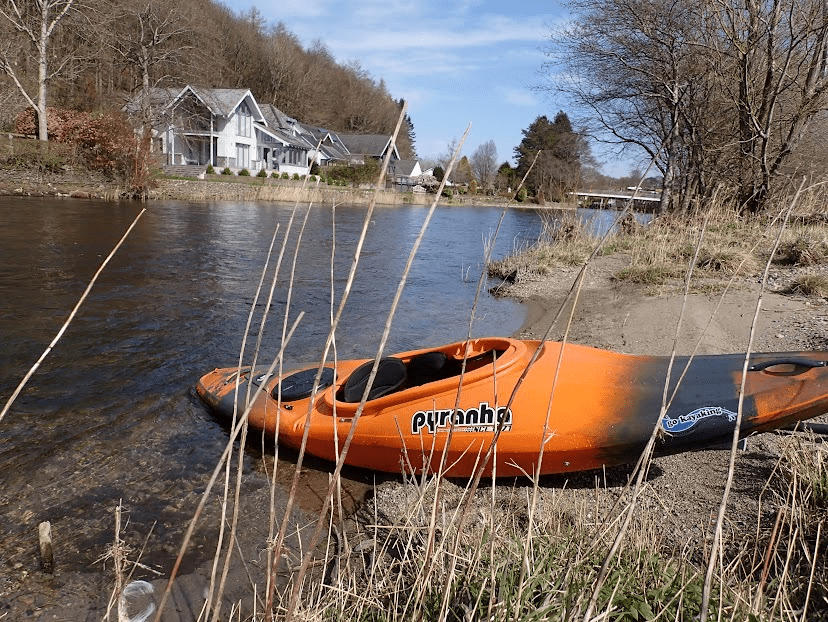 A picture containing outdoor, orange, water, grass
Description automatically generated