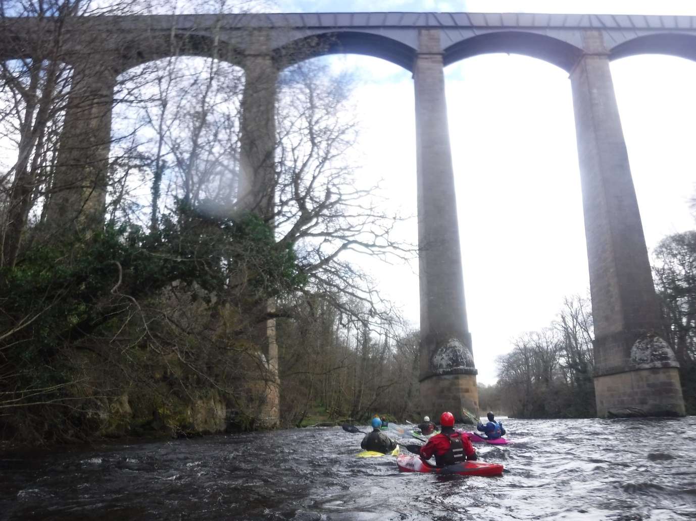 May be an image of 3 people and nature
