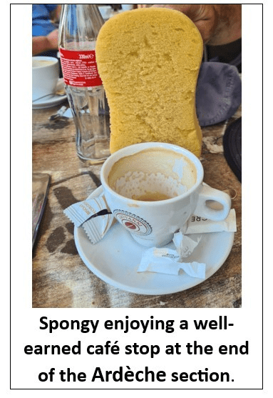 A cup of coffee on a plateDescription automatically generated with low confidence