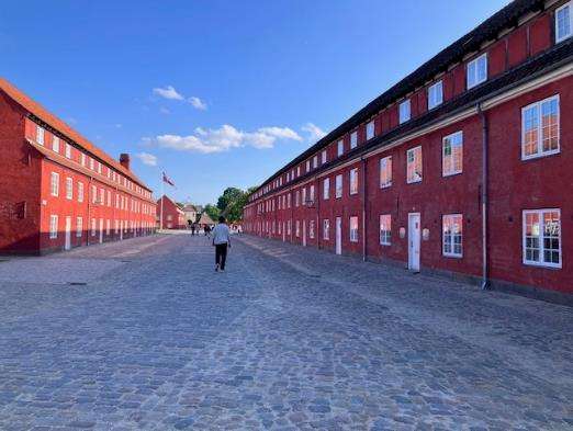 A person walking on a cobblestone roadDescription automatically generated with low confidence