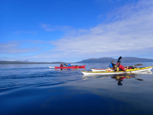 A group of people in kayaks on a lake Description automatically generated