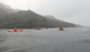 A group of people in kayaks on a river Description automatically generated