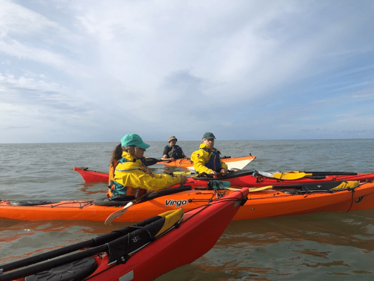 A group of people in kayaks in the water Description automatically generated