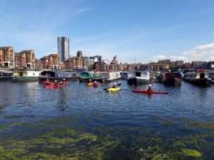 A group of people in kayaks on a river Description automatically generated