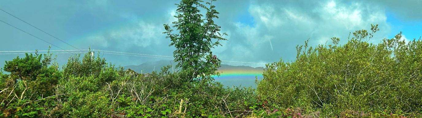 A rainbow over a body of waterDescription automatically generated